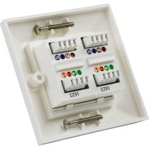 Excel Cat6 Dual RJ45 Bevelled Wall Plate with 2 x UTP Modules